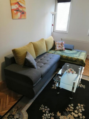 Apartman Porodiliste-Sajam